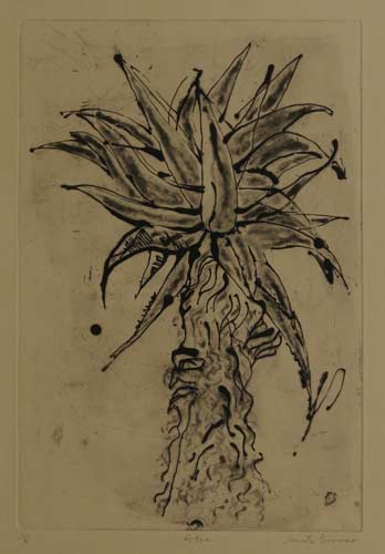 Images of prints and process