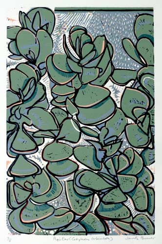 Images of prints and process