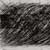 thumbnail image of the artist's print