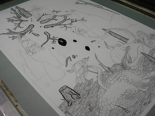 Images of prints and process